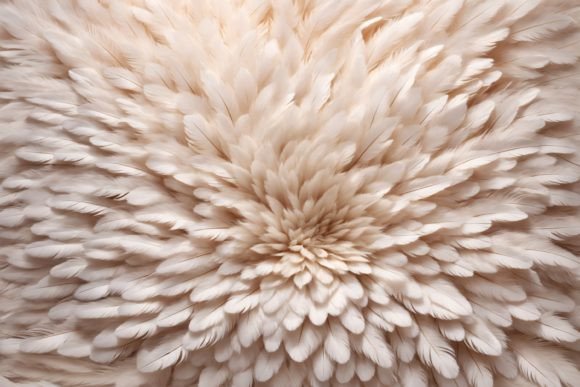 Exploring the Versatility of White Feather Backgrounds and Feathers Backgrounds